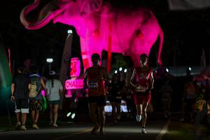 BIB: 
                            <button type="button" onclick="openModal(26530638)" class="btn btn-primary btn-sm float-right btn-popup" data-toggle="modal" data-target=".modal-high-quality">
                        <i class="fas fa-shopping-cart"></i> Add to Cart
                    </button>
                                            <button type="button" onclick="isThisMe(26530638, true)" class="btn btn-success btn-sm float-right btn-popup btn-isme hidden" data-toggle="tooltip" data-placement="bottom" title="นี่คือรูปของคุณใช่ไหม คลิกที่นี่เพื่อเอาเข้าอัลบั้ม">
                        <i class="fas fa-plus"></i> Add to album
                    </button>
                    <button type="button" onclick="isThisMe(26530638, false)" class="btn btn-warning btn-sm float-right btn-popup btn-isnotme hidden">
                        <i class="fas fa-ban"></i> Remove from album
                    </button>